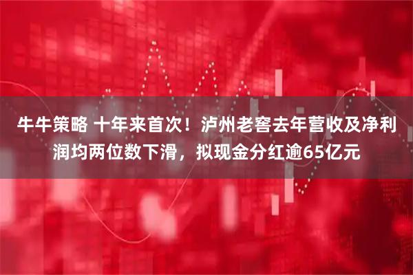 牛牛策略 十年来首次！泸州老窖去年营收及净利润均两位数下滑，拟现金分红逾65亿元