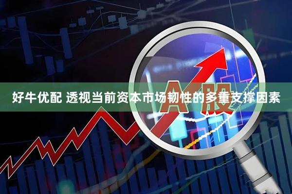 好牛优配 透视当前资本市场韧性的多重支撑因素